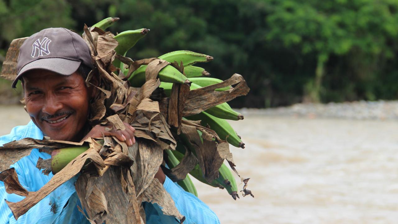 productores-beneficiarios-minagricultura.jpg