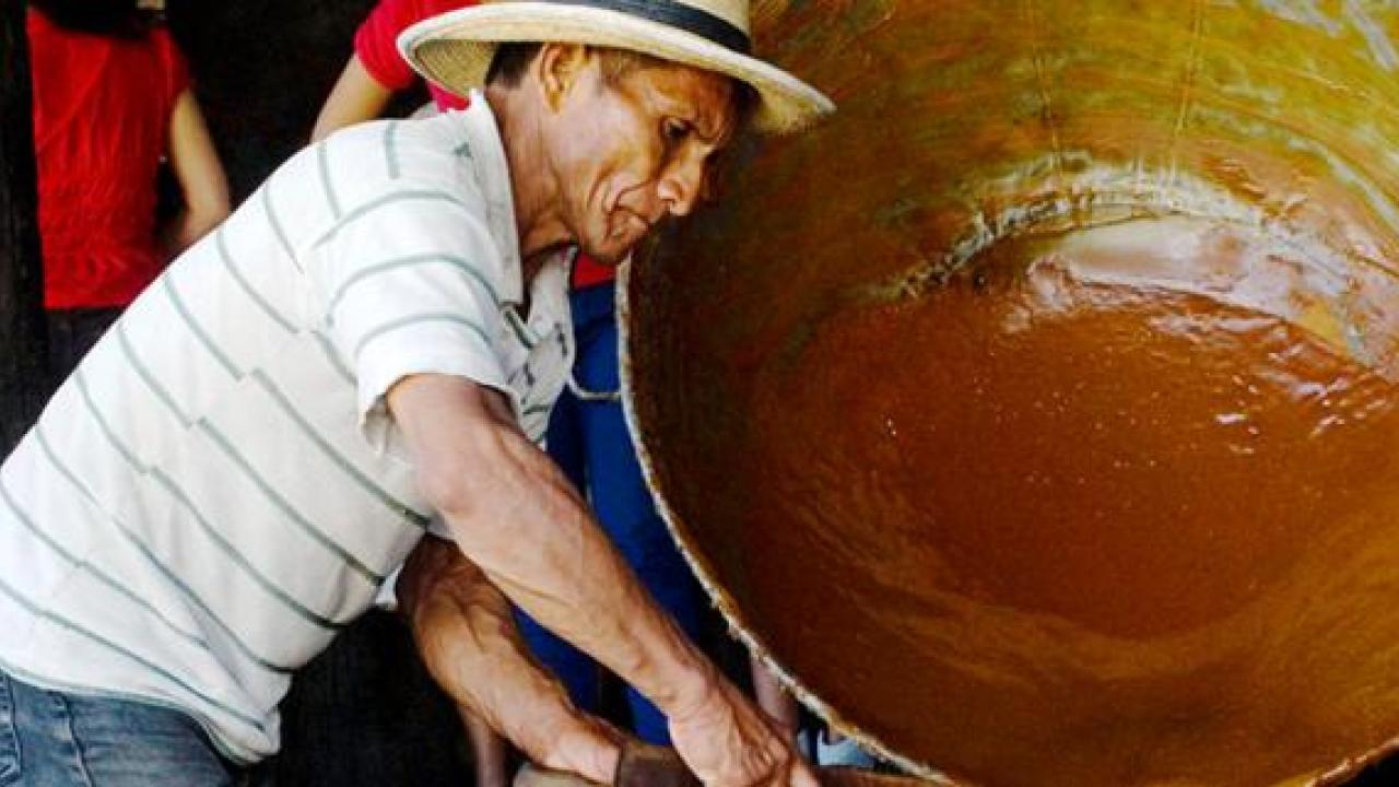 panela_1.jpg
