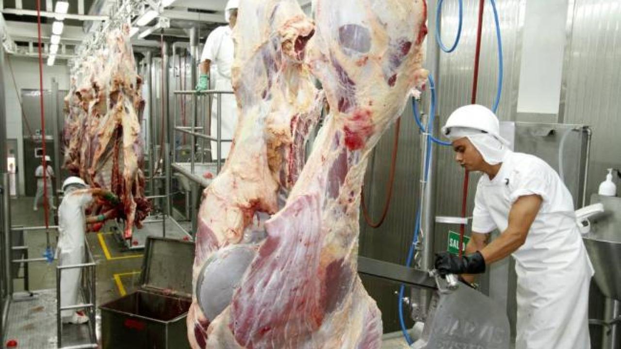 gobierno_logra_875_de_admisibilidad_para_el_agro.jpg