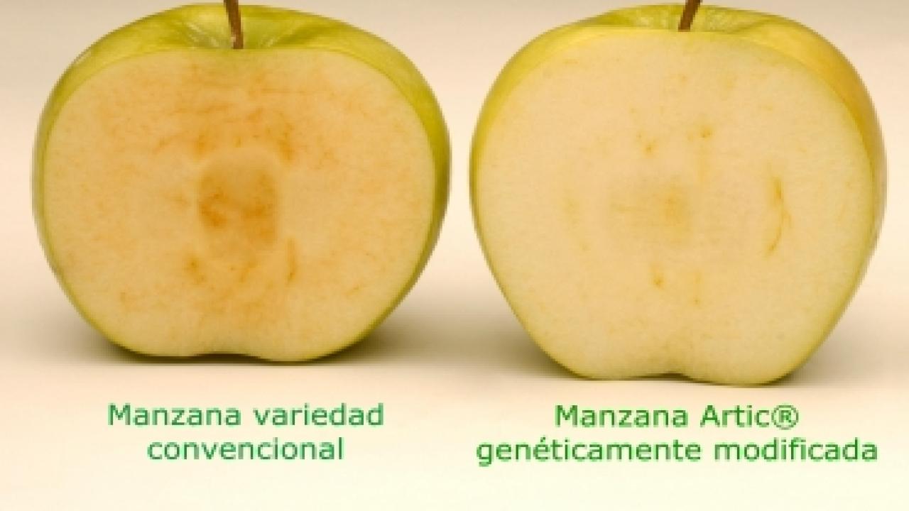 agro-bio_manzanas_gm1baja.jpg