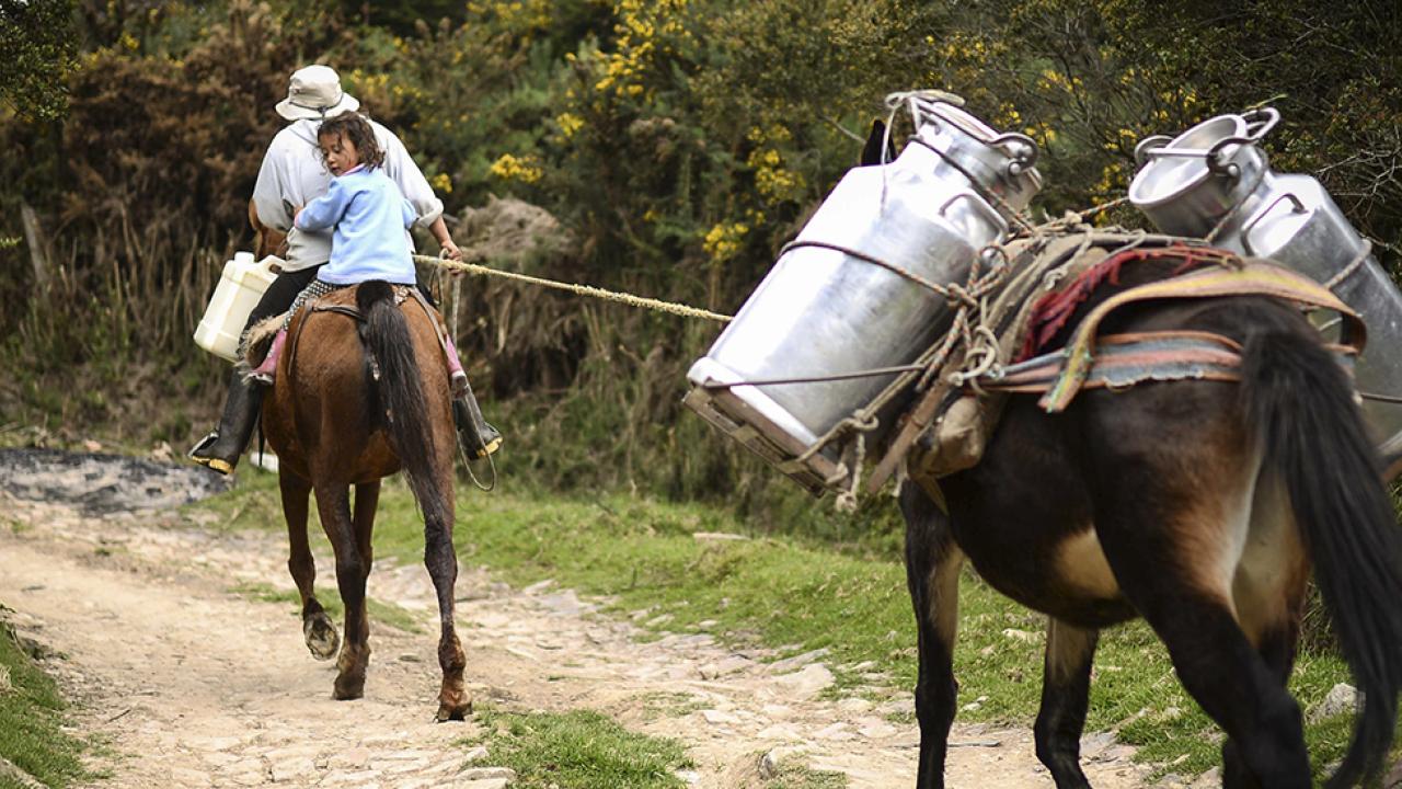 productores_de_leche.jpg