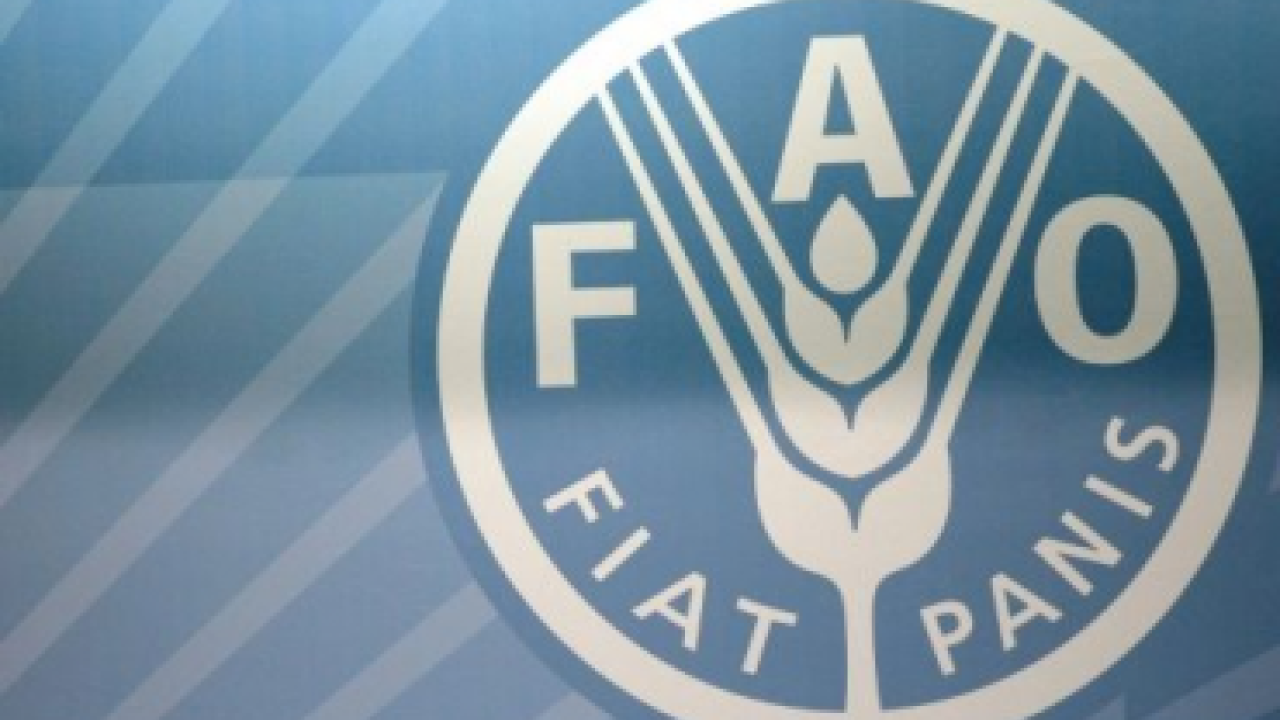 afp.png