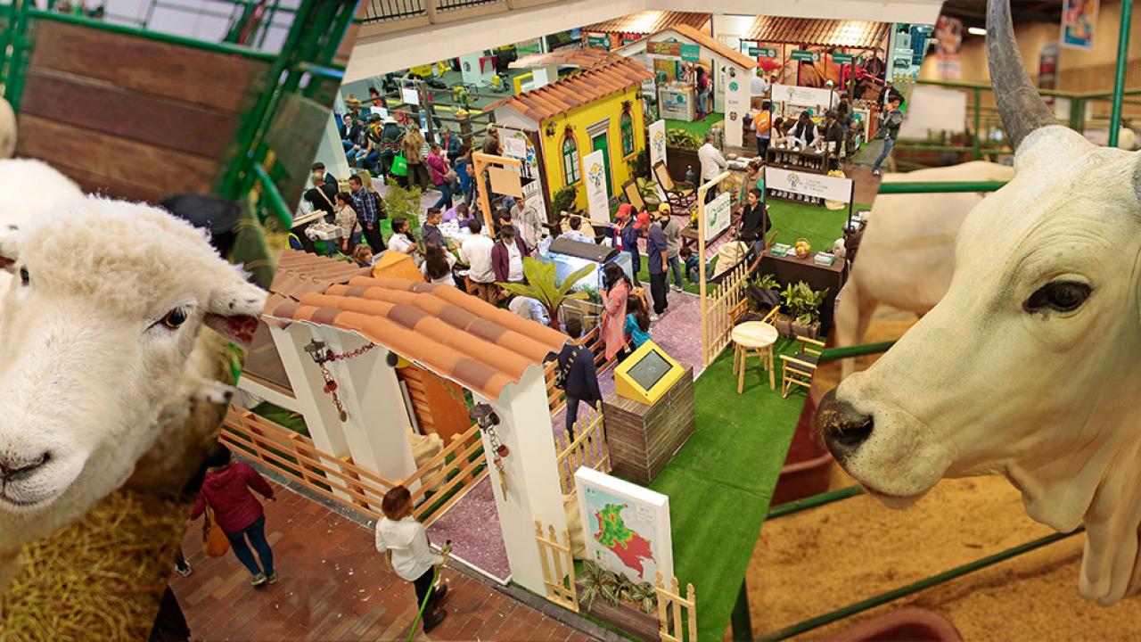 agroexpo-pueblo-pecuario.jpg