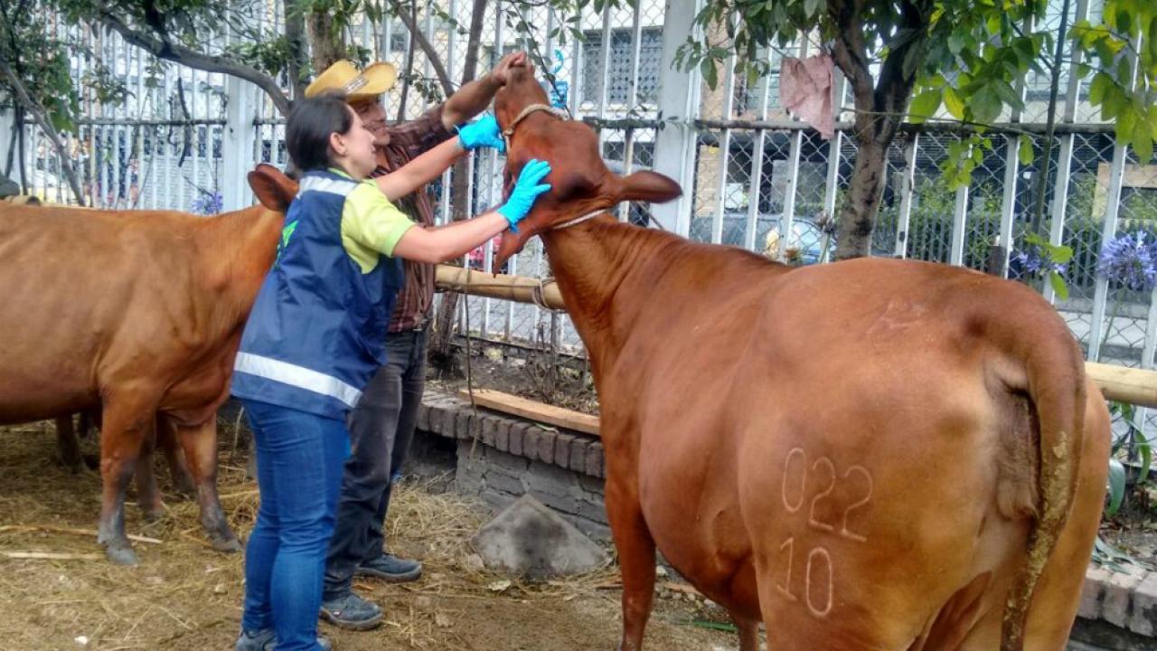 agroexpo_1.jpg