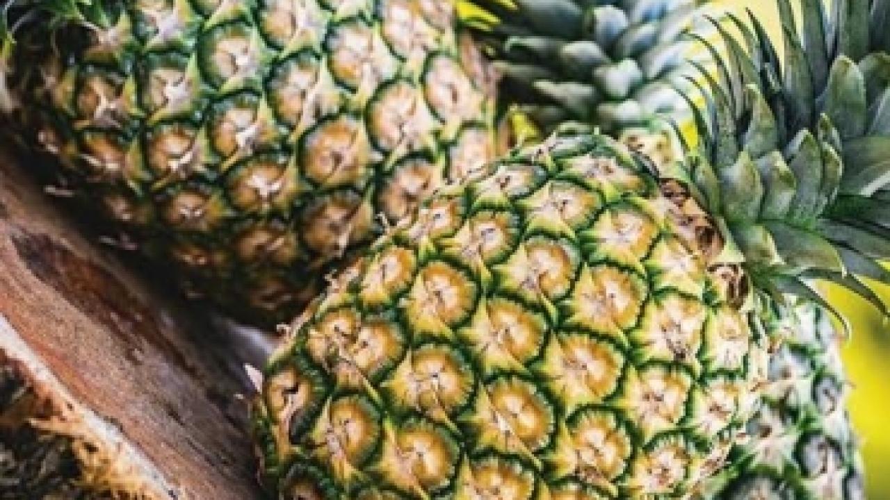 pina_bengala.jpg