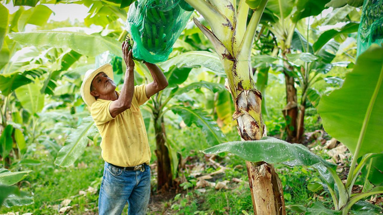 boletin-agroclimatico-0412-1200x550.jpg