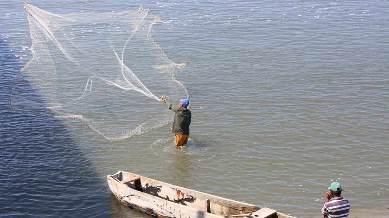 pescador.jpg