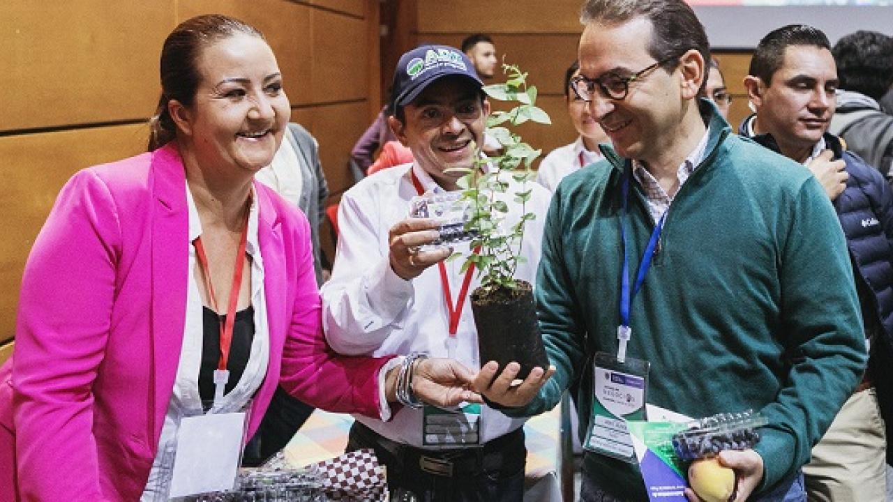 foto_minagricultura_coseche_y_venda_a_la_fija_almidones_de_sucre_motor.jpg