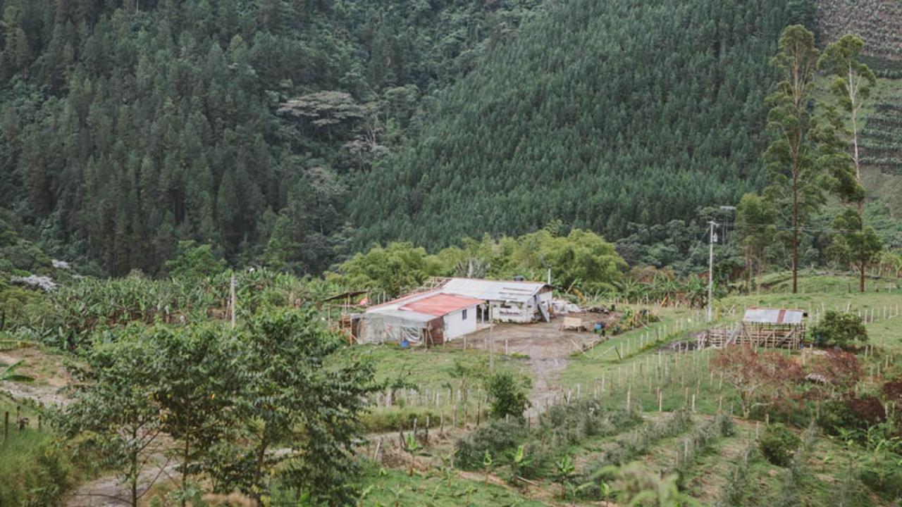 Nuevo decreto facilita acceso a tierra para v�ctimas de cat�strofes naturales declaradas