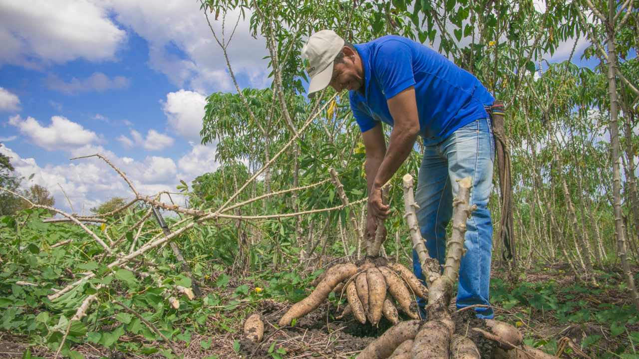 FINAGRO vincul� a nuevas cooperativas y aument� el cupo de redescuento para el IDEA 