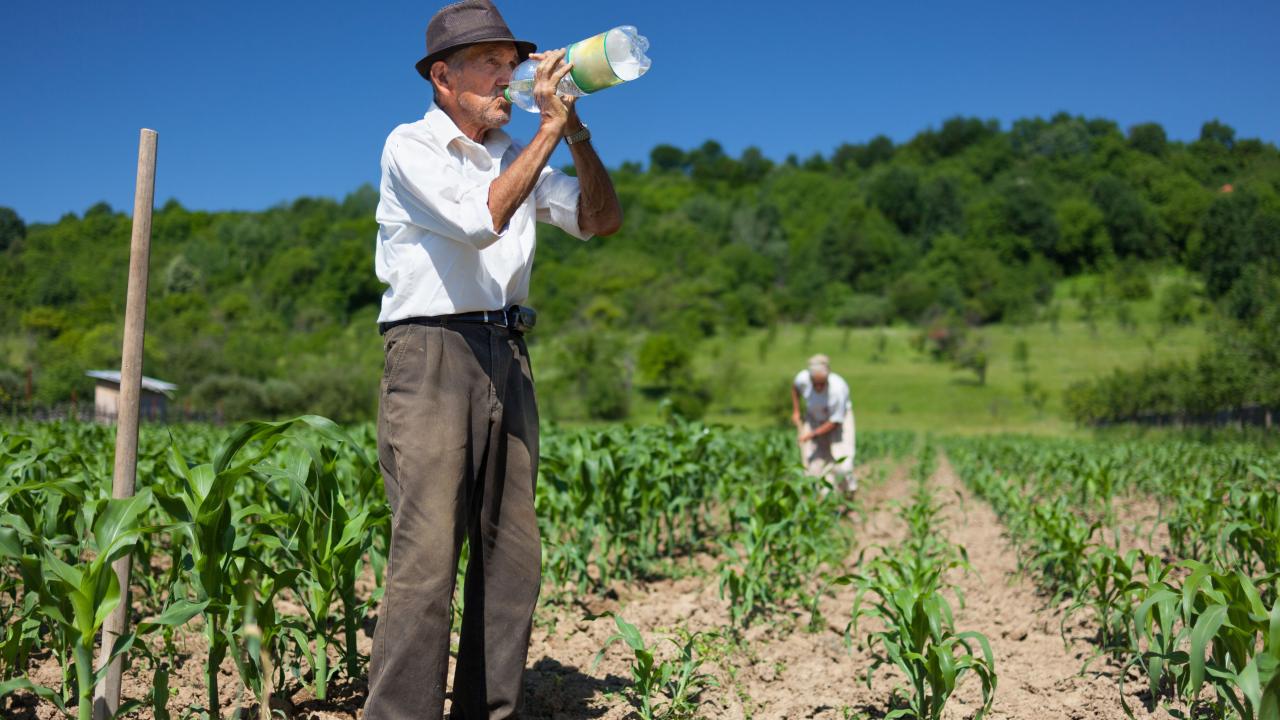 Se reactiva el Incentivo al Seguro Agropecuario para que las campesinas y campesinos protejan sus inversiones  ante el Fen�meno de El Ni�o