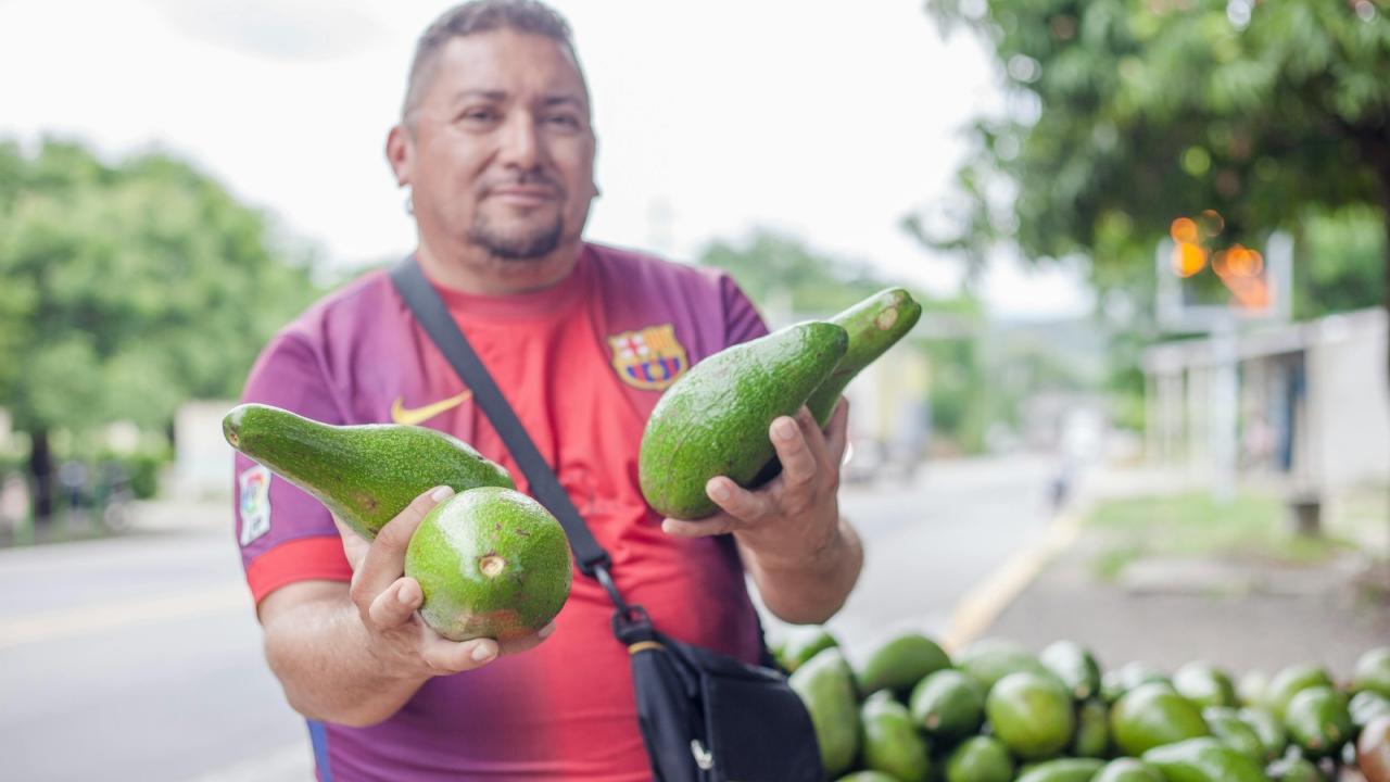 Con subsidio durante dos a�os a la tasa de inter�s para cr�ditos de hasta $4 millones, Finagro buscan erradicar el �gota a gota�
