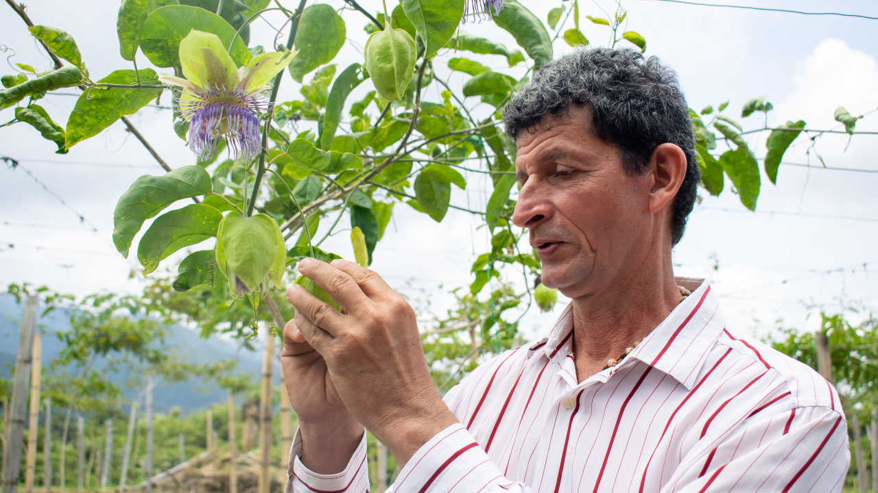 La bolsa de recursos se destinará para subsidiar primas de pólizas agropecuarias para que los y las productoras protejan sus inversiones y eviten pérdidas por diversos riesgos.   Bogotá, 30 de septiembre de 2024 (@MinAgricultura - @Finagro). El Ministerio de Agricultura y Desarrollo Rural, a través del Fondo del Financiamiento para el Sector Agropecuario (Finagro), habilitó más de $54.130 millones para que más familias campesinas accedan a nuevos subsidios para adquirir una póliza de seguro agropecuario c