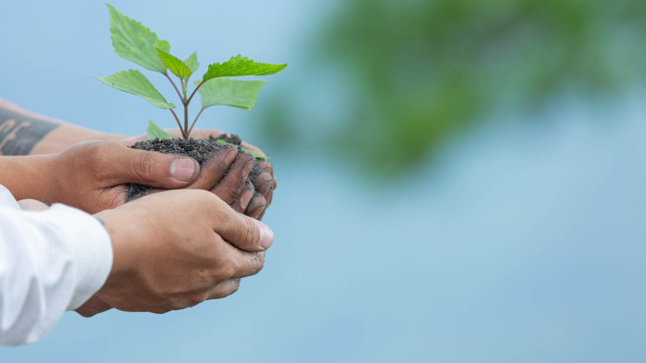 Previo a la #COP16, Finagro informó que durante 2024 ha desembolsado créditos en Sostenibilidad Climática por $1,54 billones