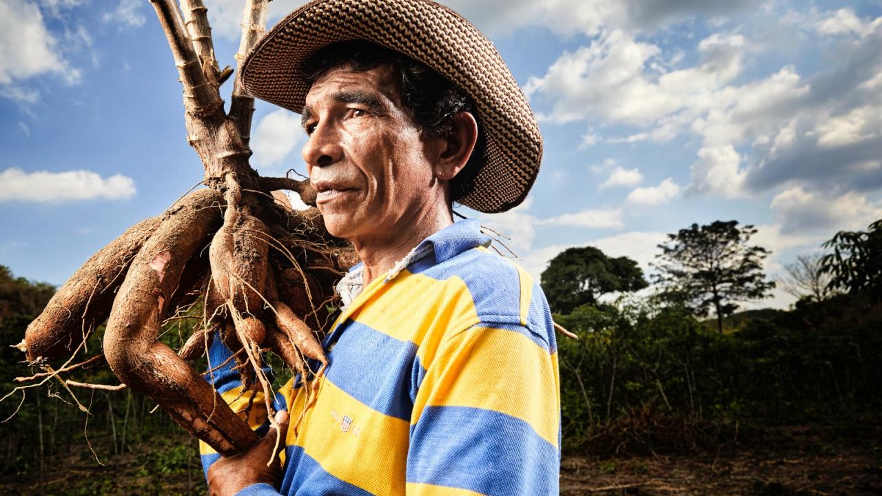 En 2024 Finagro alcanz� resultados hist�ricos tras desembolsar m�s de $39,4 billones en cr�dito de fomento