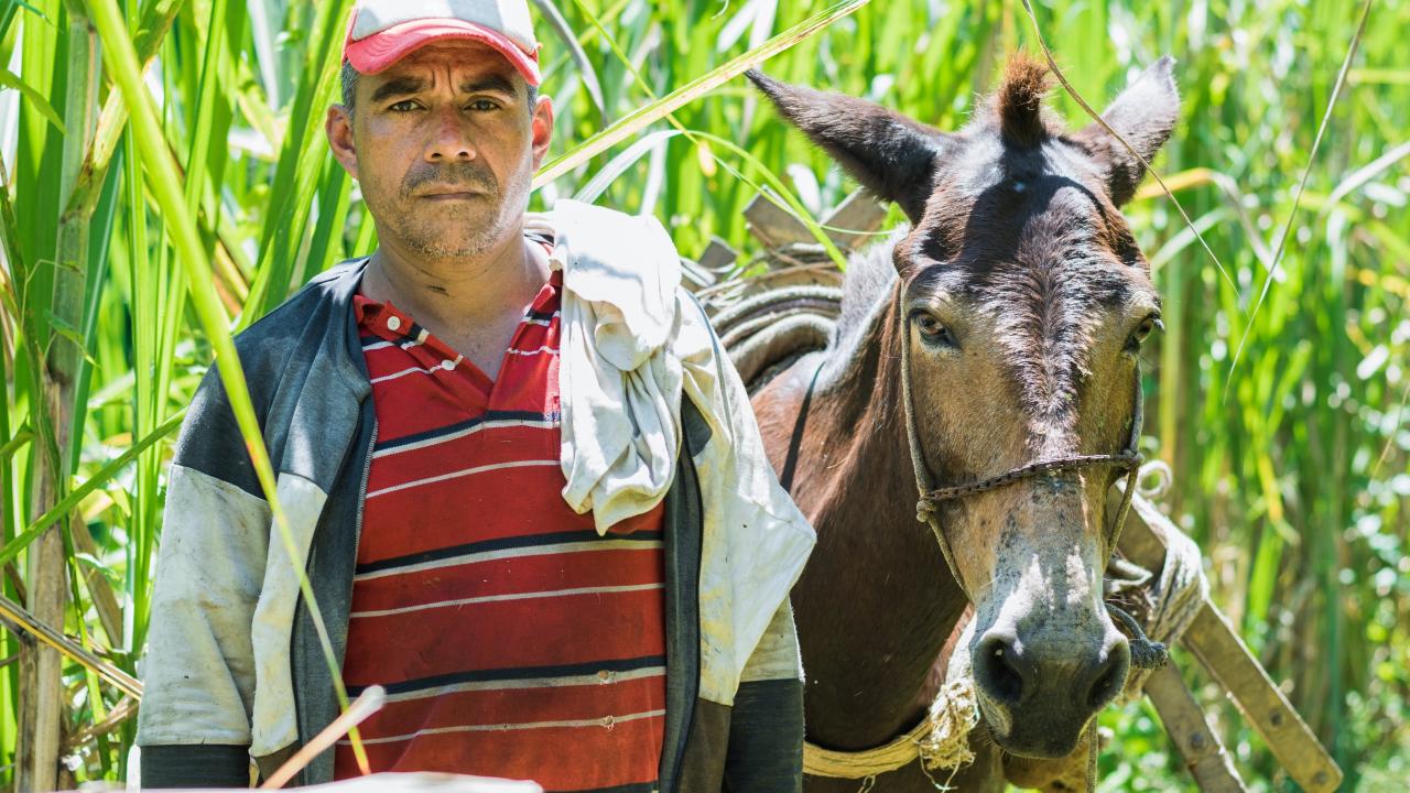 Finagro reafirma su apuesta por la asociatividad tras desembolsar m�s de $6,06 billones en cr�dito colectivo