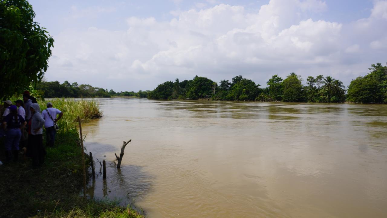 MinAgricultura prev� movilizar hasta $2 billones  con nuevo programa especial de cr�dito para  productores afectados por la ola invernal 