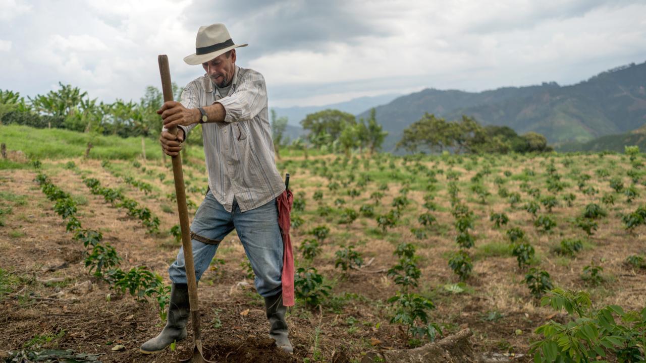 MinAgricultura habilitar�?$67.272 millones en subsidios para?que?campesinos y campesinas?adquieran?un?seguro agropecuario ante los riesgos del Fen�meno de?�El Ni�o�