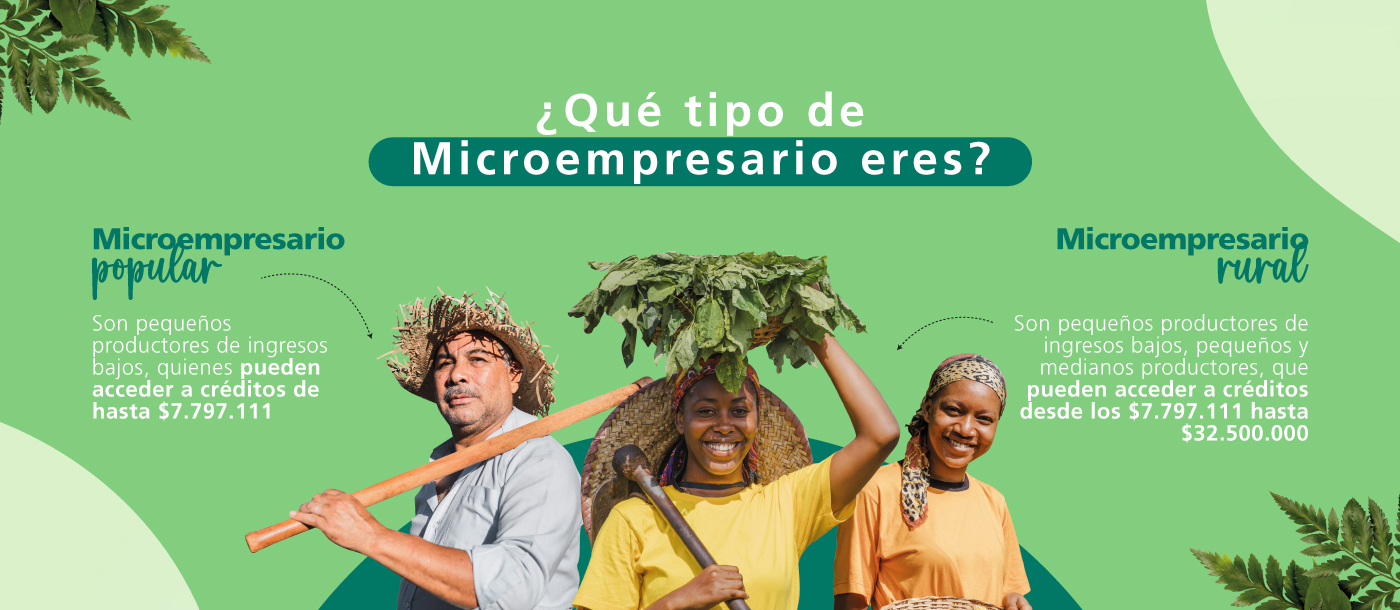 que tipo de microempresario eres