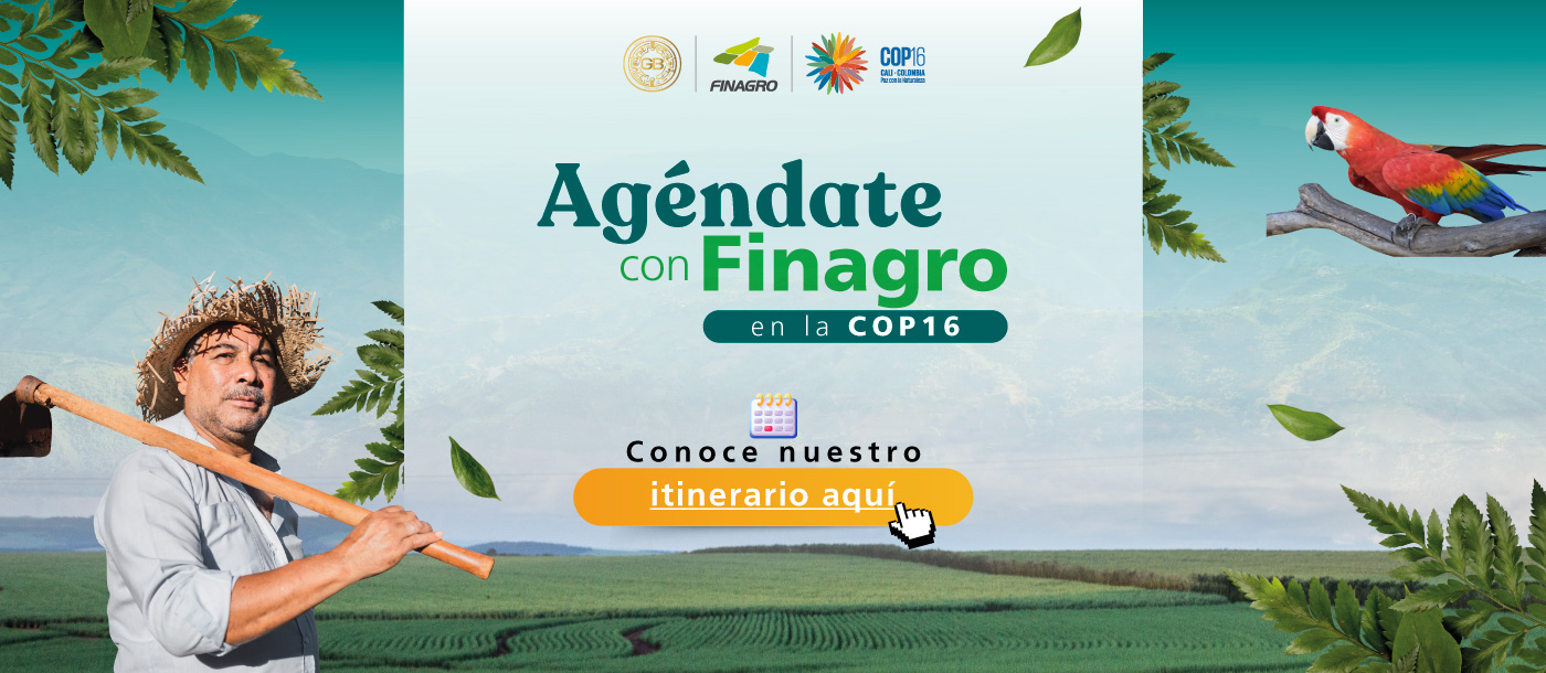 Agenda COP16