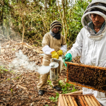 El sector Agricultura avanza con las ayudas a la población del Catatumbo