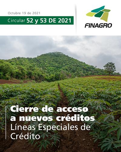 circular-53-portada_0.jpg