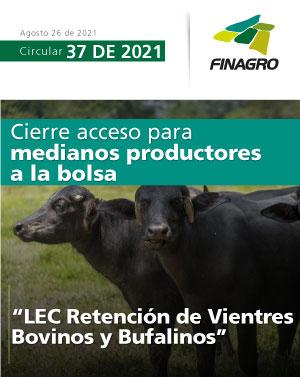 infografia-circular-no.-37-boton_0.jpg