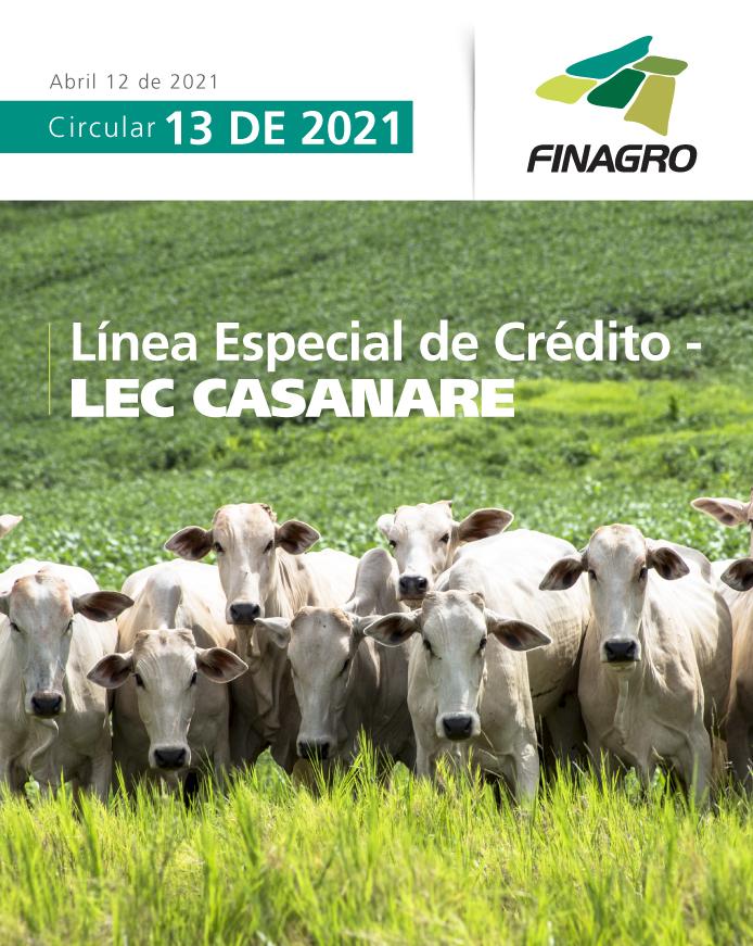 p13_lec-casanare.jpg