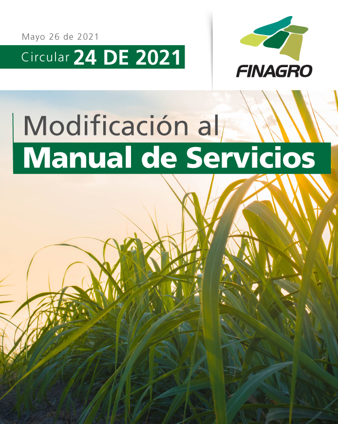 p24_modificacion-manual-de-servicios.jpg