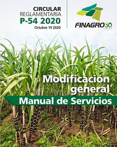 p_54_modificacion-manual-de-servicios.jpg