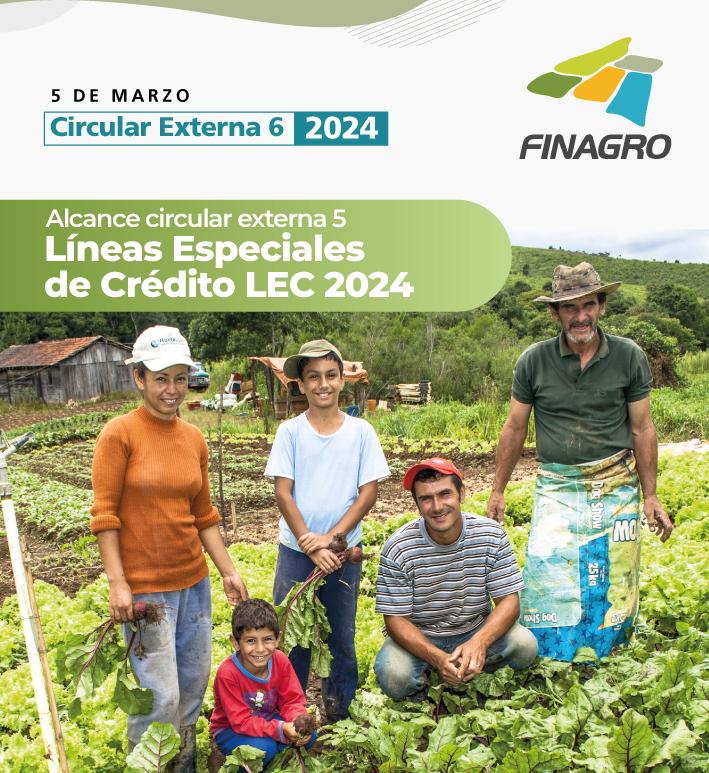 Circular Externa 06 de 2024