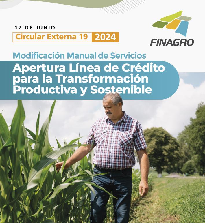 Circular Externa 19 de 2024