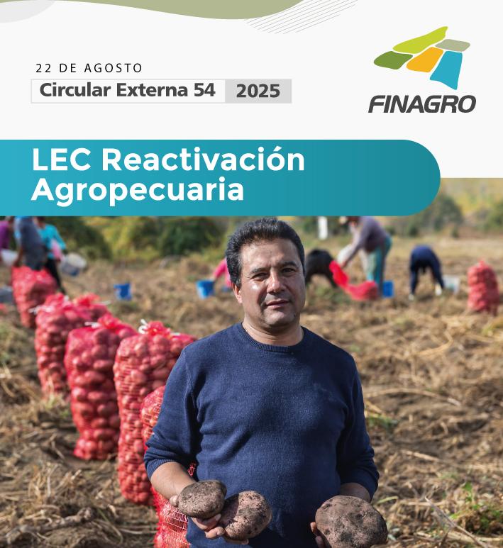 Cultivador de papa