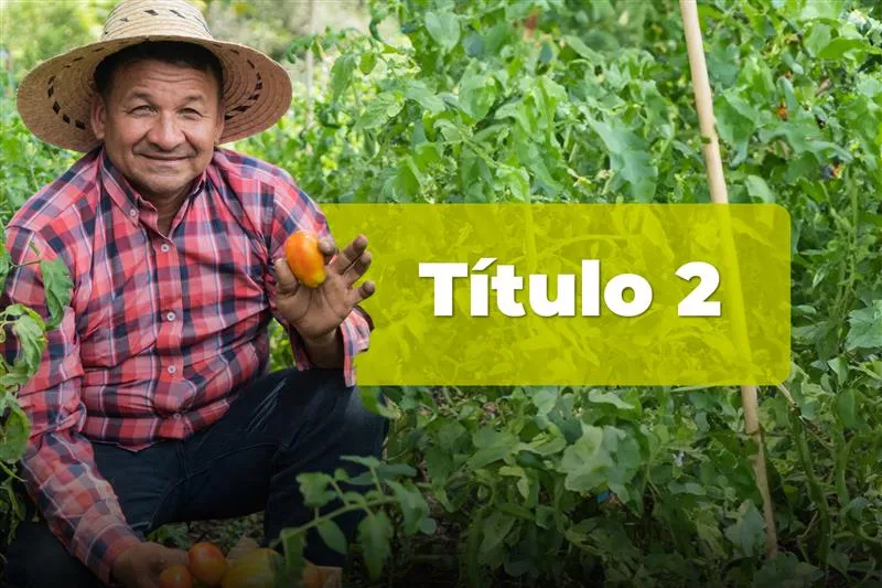Título 2: Garantías