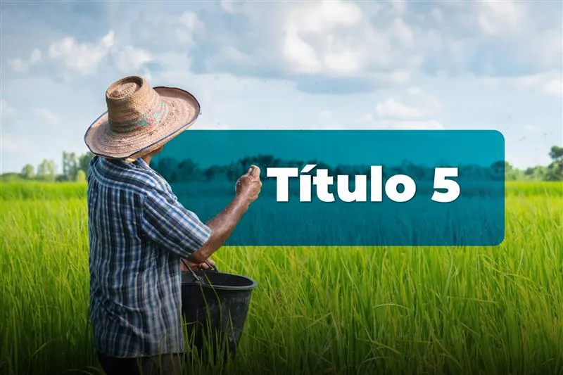 Titulo5: Registro de operaciones de cartera